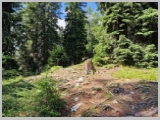 Slika_064.webp