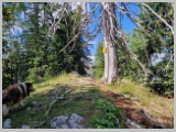 Slika_070.webp