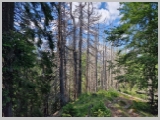 Slika_071.webp