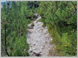 Slika_082.webp