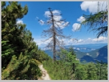 Slika_104.webp