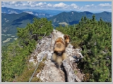 Slika_105.webp