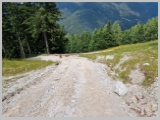 Slika_135.webp