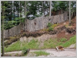 Slika_137.webp
