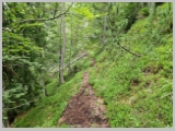 Slika_153.webp