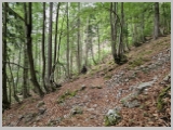 Slika_154.webp