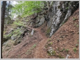 Slika_155.webp