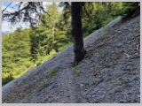 Slika_159.webp