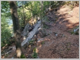 Slika_162.webp