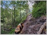 Slika_170.webp