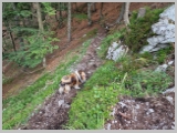 Slika_175.webp