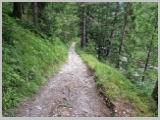 Slika_177.webp