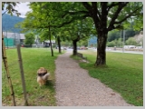Slika_181.webp