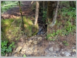 Slika_020.webp