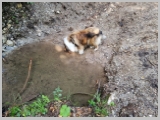 Slika_023.webp