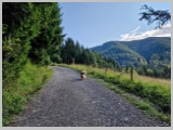Slika_024.webp
