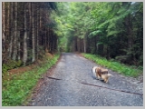 Slika_027.webp