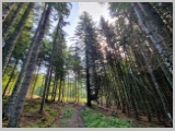 Slika_028.webp
