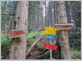 Slika_029.webp