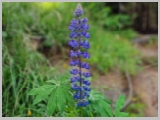 Slika_040.webp