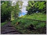 Slika_043.webp
