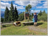 Slika_047.webp
