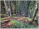 Slika_083.webp