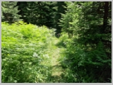 Slika_097.webp