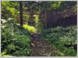 Slika_102.webp