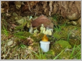 Slika_129.webp
