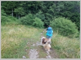 Slika_004.webp