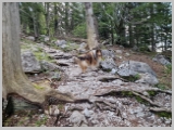 Slika_005.webp