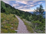 Slika_007.webp