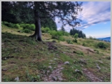 Slika_011.webp