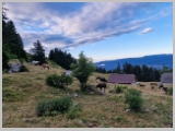 Slika_012.webp