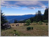 Slika_013.webp