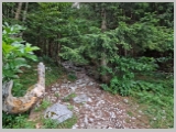 Slika_016.webp