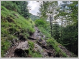 Slika_017.webp