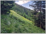 Slika_023.webp