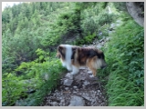 Slika_027.webp