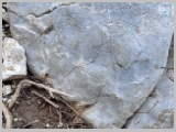 Slika_028.webp