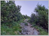 Slika_031.webp
