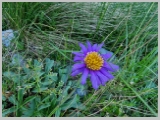 Slika_034.webp