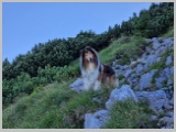 Slika_035.webp