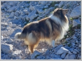 Slika_046.webp