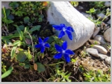 Slika_048.webp