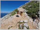 Slika_051.webp