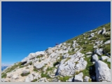 Slika_053.webp