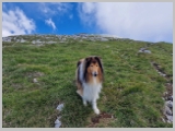 Slika_114.webp