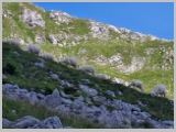 Slika_120.webp